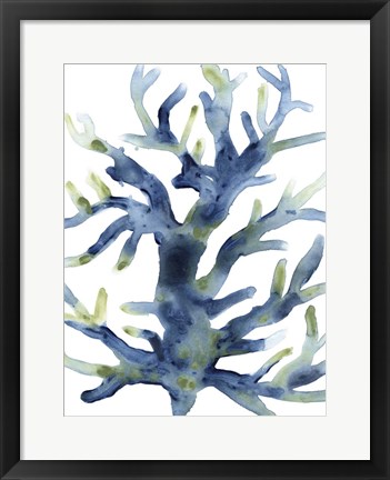Framed Liquid Coral III Print
