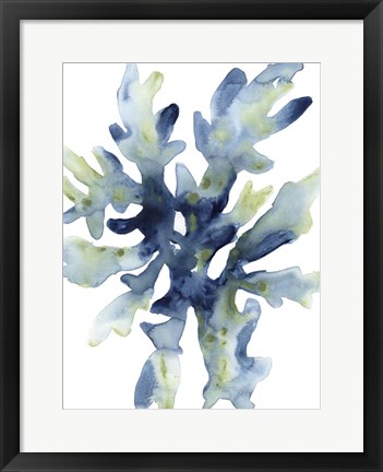 Framed Liquid Coral IV Print