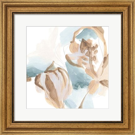 Framed Abstracted Shells IV Print