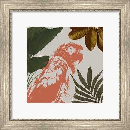 Framed Graphic Tropical Bird I Print