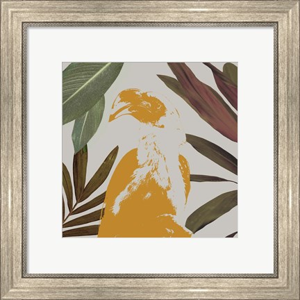 Framed Graphic Tropical Bird II Print