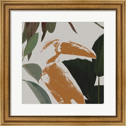 Framed Graphic Tropical Bird III Print