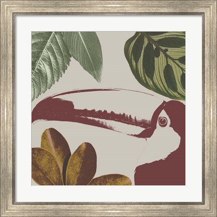 Framed Graphic Tropical Bird V Print