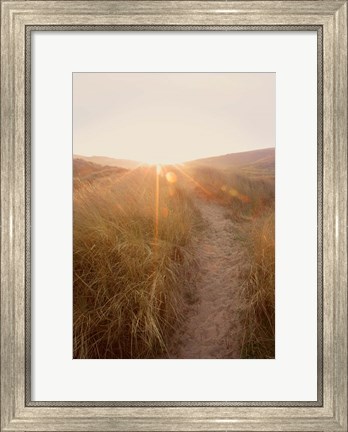 Framed Dunes with Seagulls 4 Print