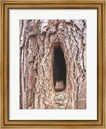 Framed Is It Spring Yet? Print