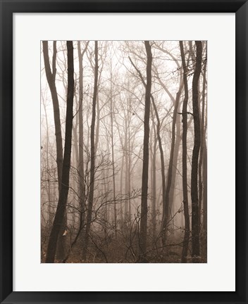 Framed Emptiness Print