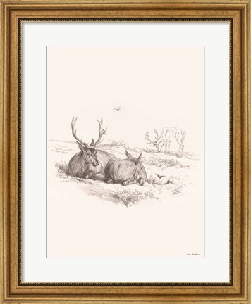 Framed Reindeer Chilling Print