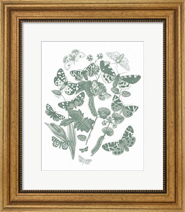 Framed Butterfly Bouquet IV Sage Print