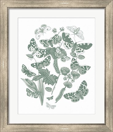 Framed Butterfly Bouquet IV Sage Print