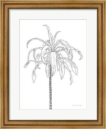 Framed Sketched Tree I Print