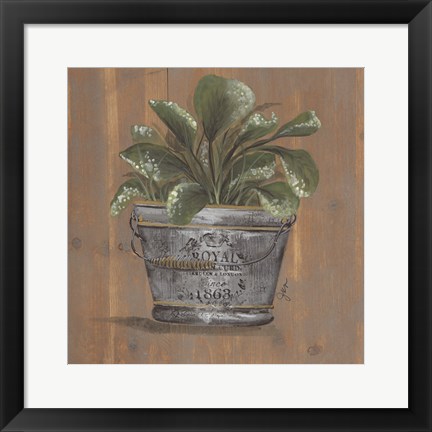 Framed Pretty Plant in Pail Print