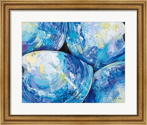 Framed Contemporary Shells Print