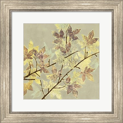 Framed Renewed Maple I Print