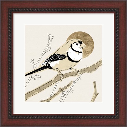 Framed Spring Passerine I Print