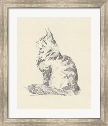 Framed House Cat II Print
