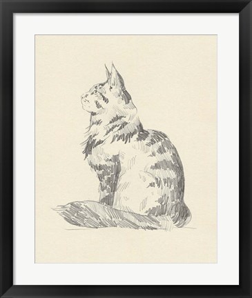 Framed House Cat II Print