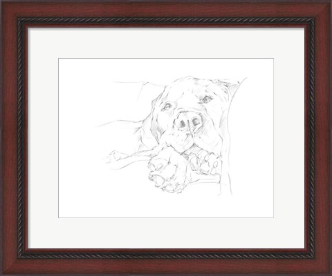 Framed Lazy Dog I Print