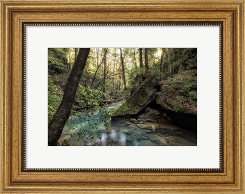 Framed Filtered Light I Print