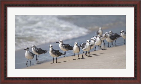 Framed What&#39;s Up Gulls Print