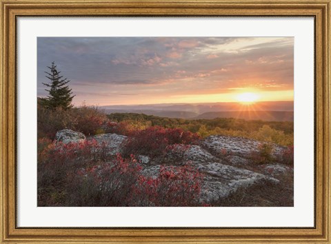 Framed Good Morning Print