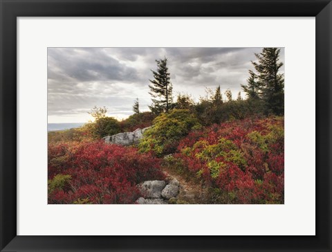 Framed Highland Trail Print