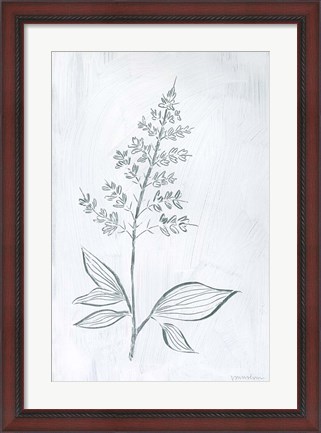 Framed Milkweeds IV Print