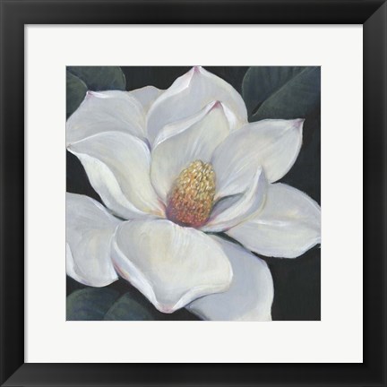 Framed Blooming Magnolia II Print