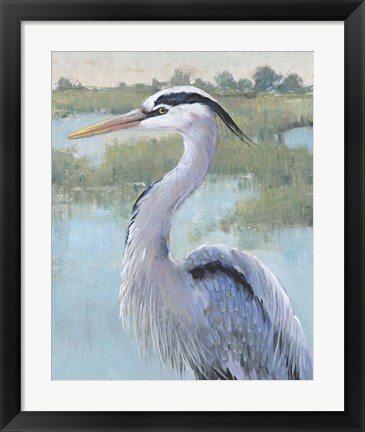 Framed Blue Heron Portrait I Print