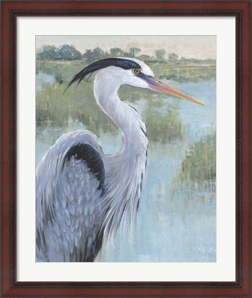 Framed Blue Heron Portrait II Print