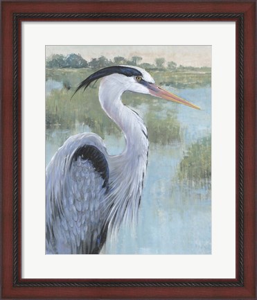 Framed Blue Heron Portrait II Print