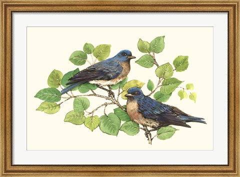 Framed Song Birds I Print