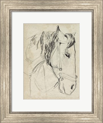 Framed Horse in Bridle Sketch I Print