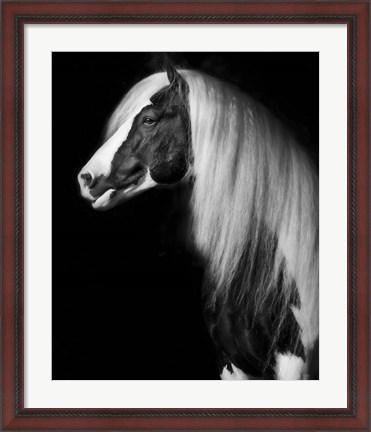 Framed Equine Portrait VII Print