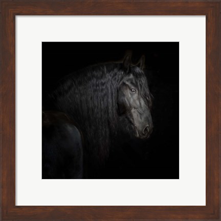 Framed Equine Portrait X Print