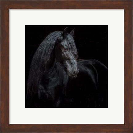 Framed Equine Portrait XI Print