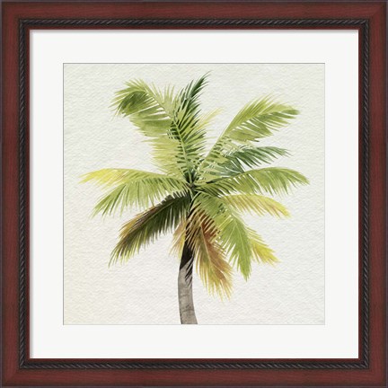 Framed Coco Watercolor Palm II Print