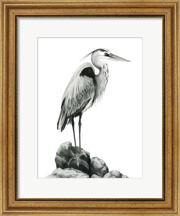 Framed Shoreline Heron in B&amp;W I Print