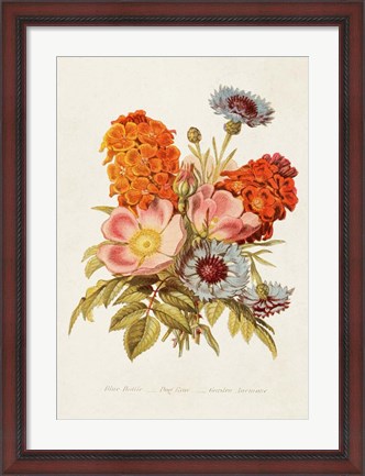 Framed Antique Floral Bouquet II Print