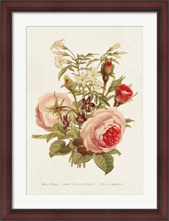 Framed Antique Floral Bouquet III Print