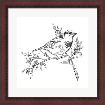 Framed Simple Songbird Sketches I Print