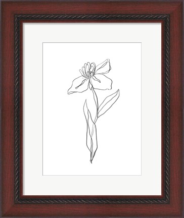 Framed Simple Daffodil II Print