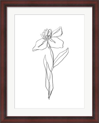 Framed Simple Daffodil II Print