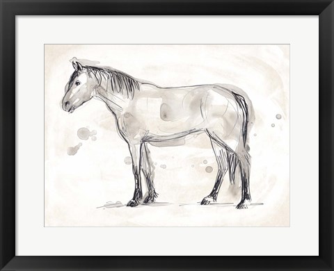 Framed Vintage Equine Sketch I Print