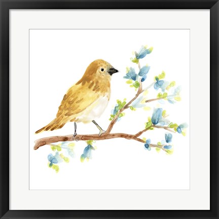 Framed Springtime Songbirds III Print