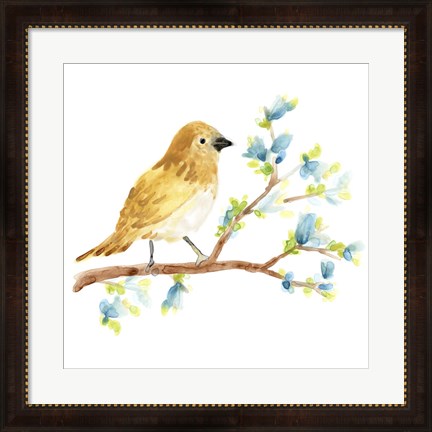 Framed Springtime Songbirds III Print