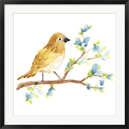 Framed Springtime Songbirds III Print