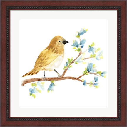 Framed Springtime Songbirds III Print