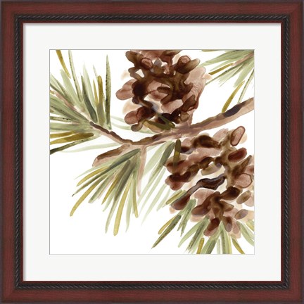 Framed Simple Pine Cone IV Print