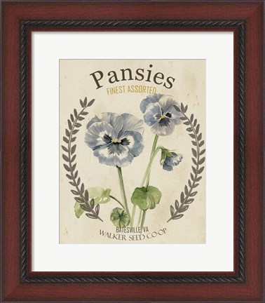 Framed Vintage Seed Packets III Print