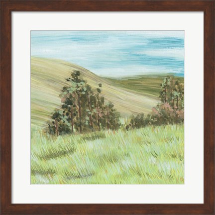 Framed Hill Lines IV Print